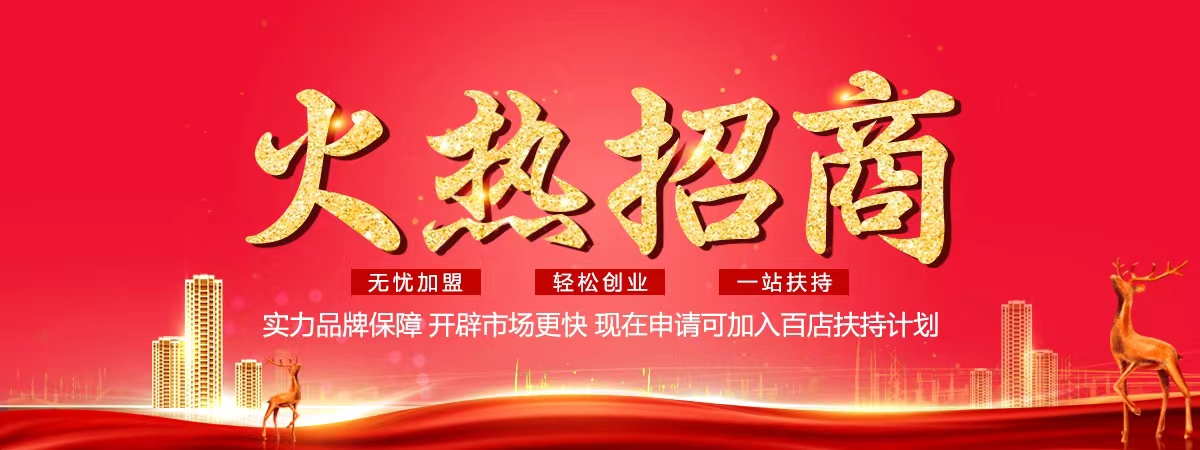壁挂炉2