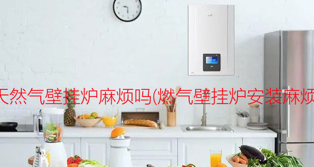 装天然气壁挂炉麻烦吗(燃气壁挂炉安装麻烦吗)