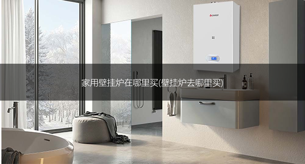 家用壁挂炉在哪里买(壁挂炉去哪里买)