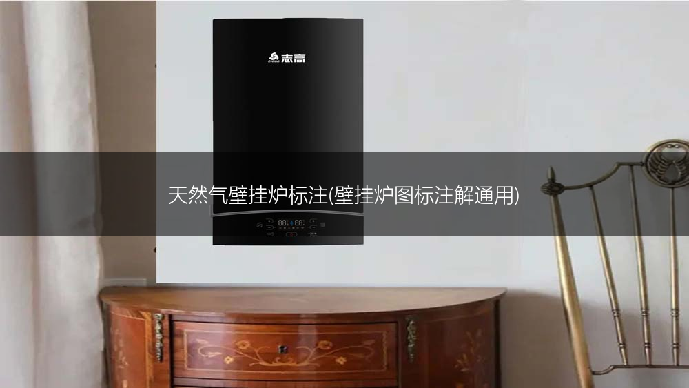 天然气壁挂炉标注(壁挂炉图标注解通用)