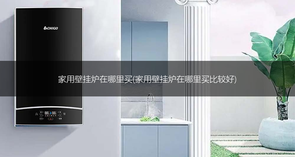 家用壁挂炉在哪里买(家用壁挂炉在哪里买比较好)