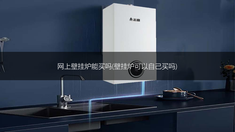 网上壁挂炉能买吗(壁挂炉可以自己买吗)