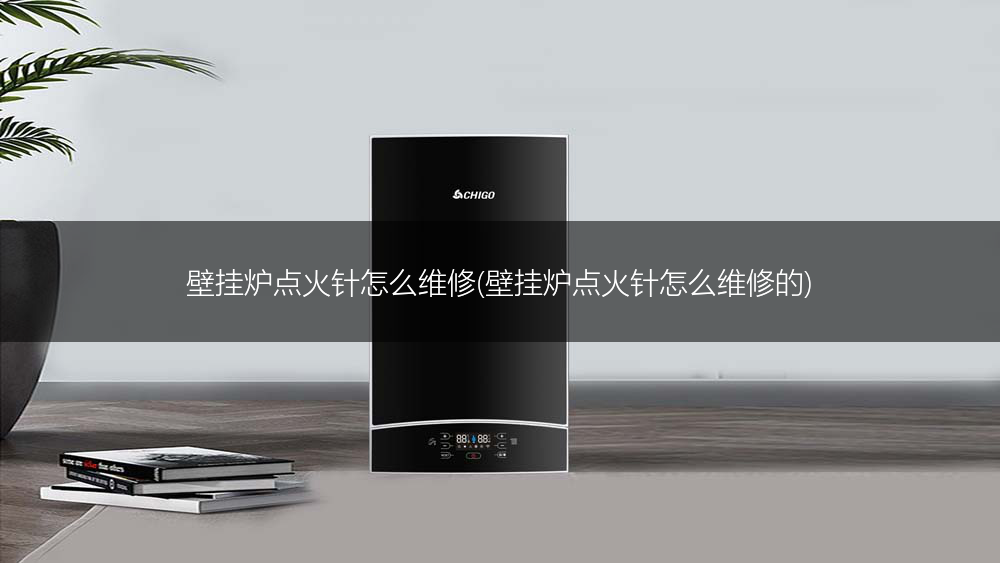 壁挂炉点火针怎么维修(壁挂炉点火针怎么维修的)