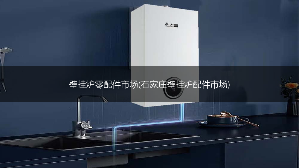 壁挂炉零配件市场(石家庄壁挂炉配件市场)