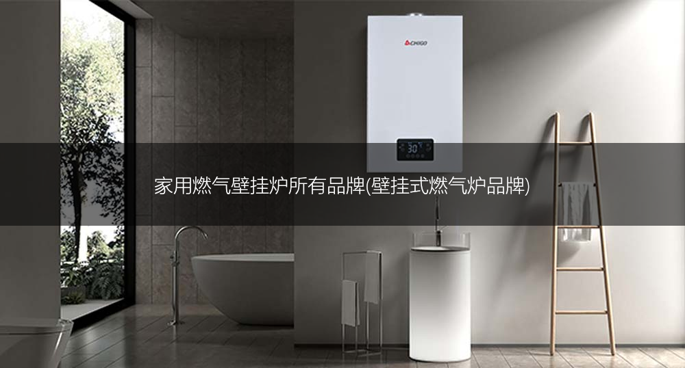 家用燃气壁挂炉所有品牌(壁挂式燃气炉品牌)