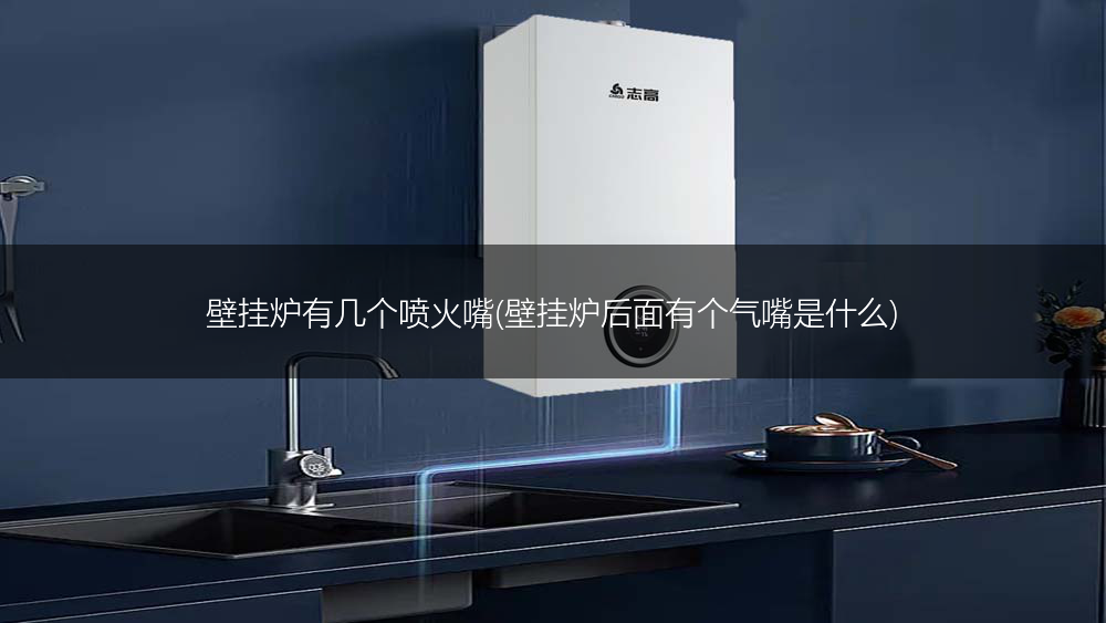 壁挂炉有几个喷火嘴(壁挂炉后面有个气嘴是什么)