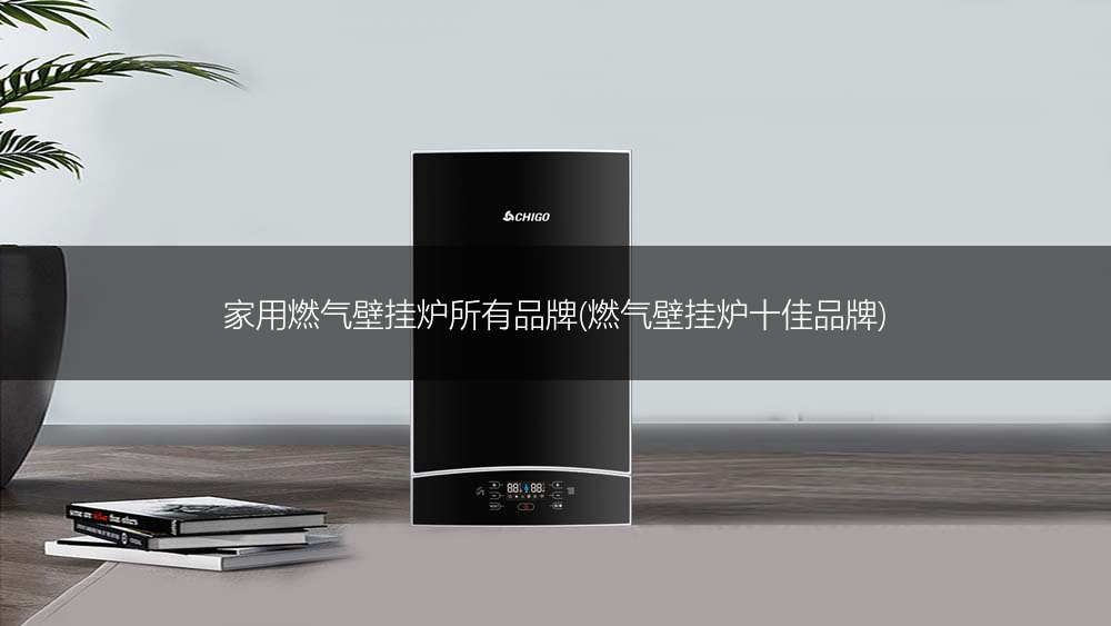 家用燃气壁挂炉所有品牌(燃气壁挂炉十佳品牌)
