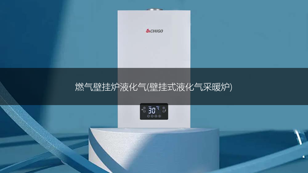 燃气壁挂炉液化气(壁挂式液化气采暖炉)