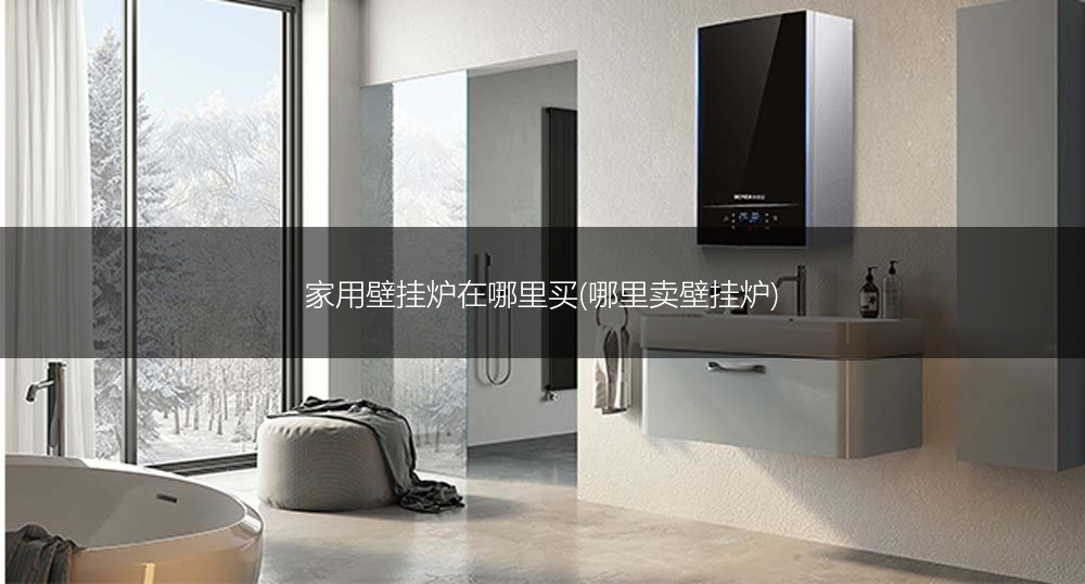 家用壁挂炉在哪里买(哪里卖壁挂炉)
