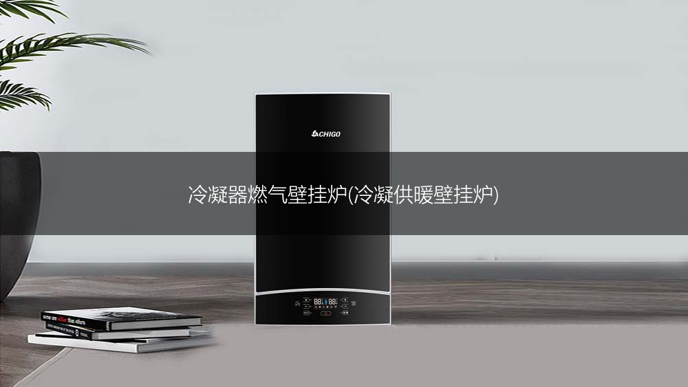 冷凝器燃气壁挂炉(冷凝供暖壁挂炉)