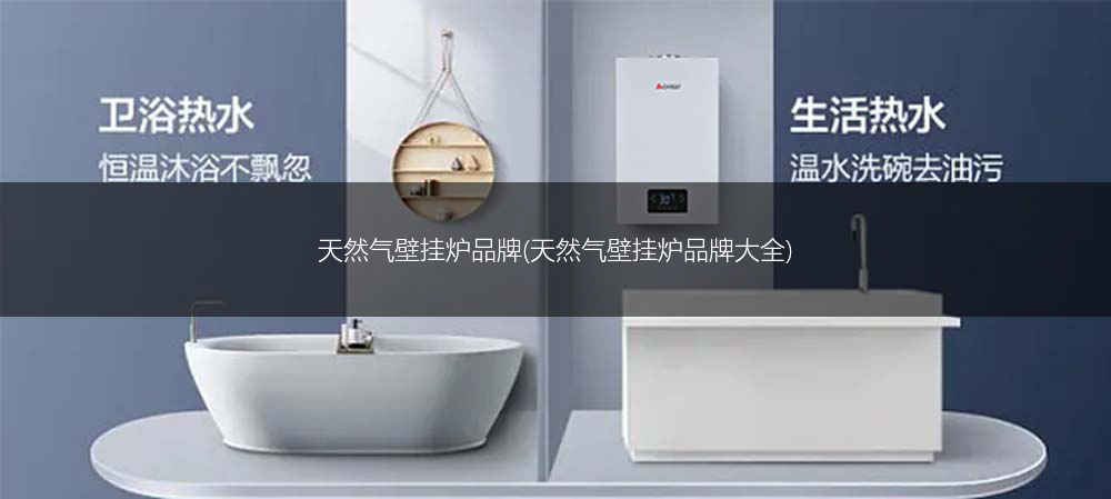 天然气壁挂炉品牌(天然气壁挂炉品牌大全)