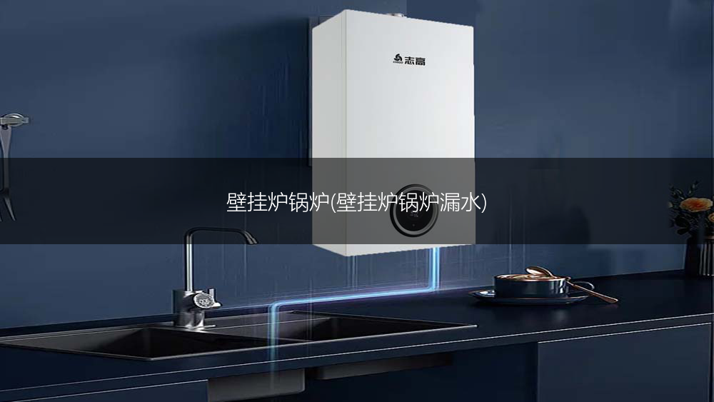 壁挂炉锅炉(壁挂炉锅炉漏水)