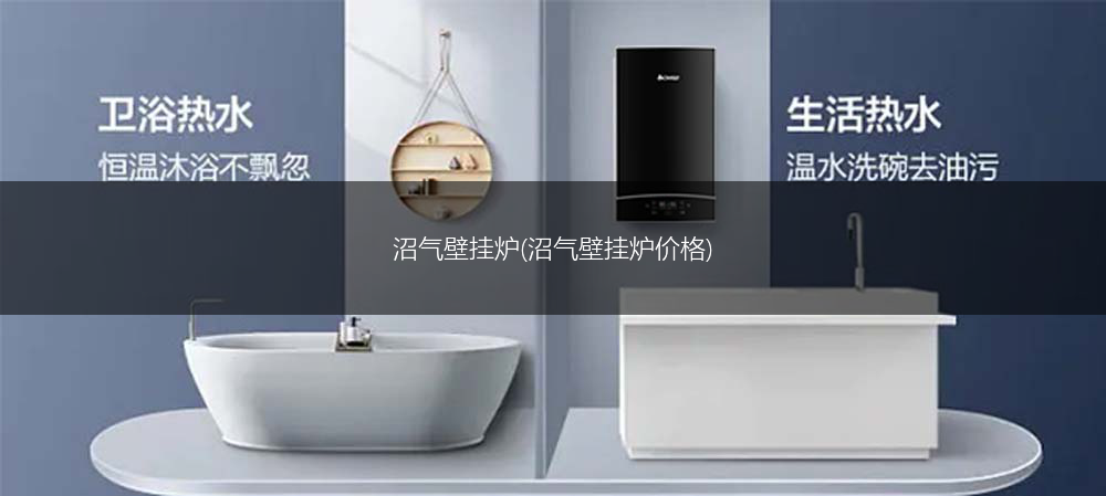 沼气壁挂炉(沼气壁挂炉价格)