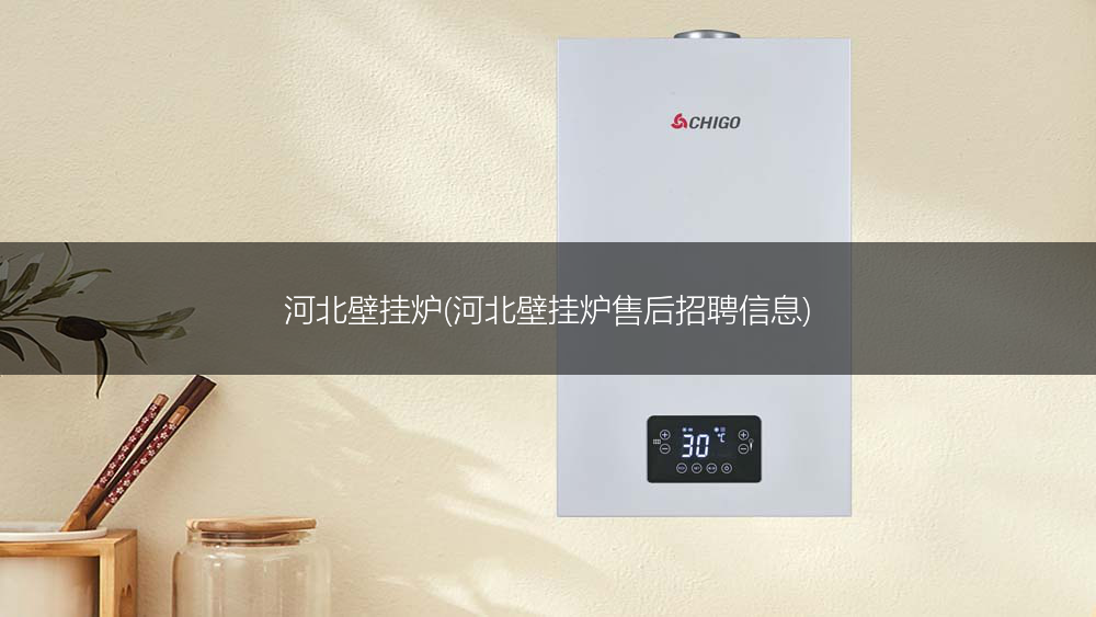 河北壁挂炉(河北壁挂炉售后招聘信息)