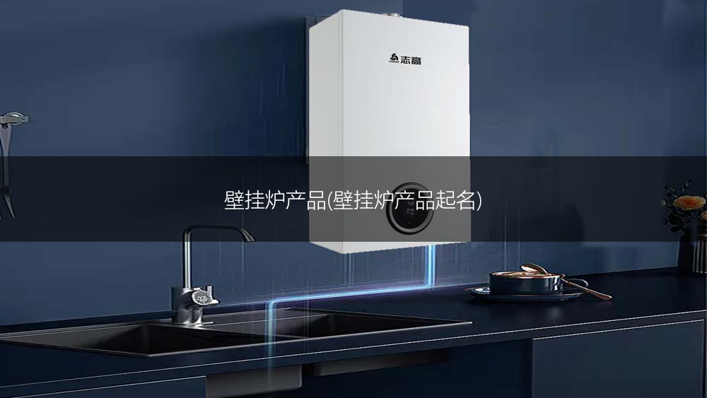 壁挂炉产品(壁挂炉产品起名)