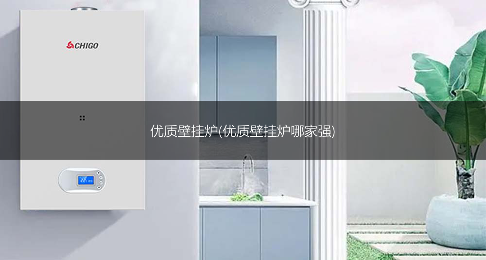 优质壁挂炉(优质壁挂炉哪家强)