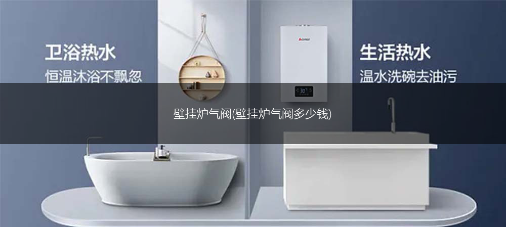 壁挂炉气阀(壁挂炉气阀多少钱)
