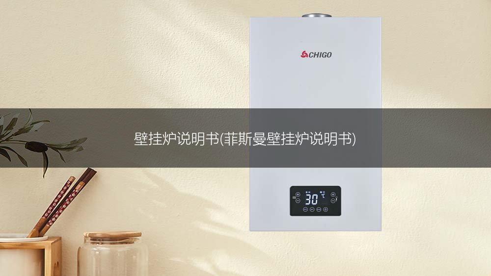 壁挂炉说明书(菲斯曼壁挂炉说明书)