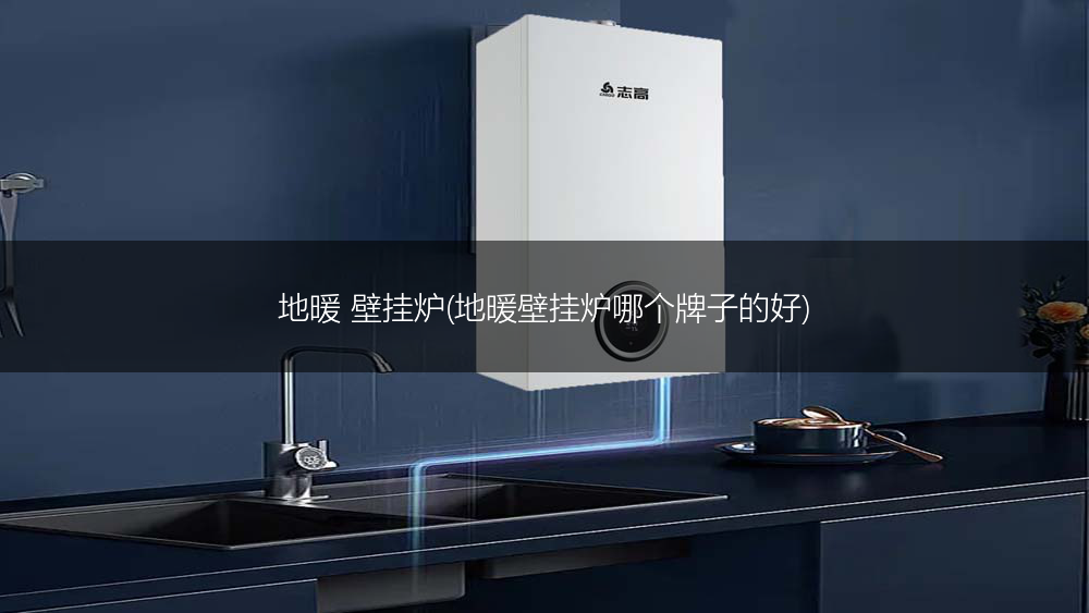 地暖 壁挂炉(地暖壁挂炉哪个牌子的好)