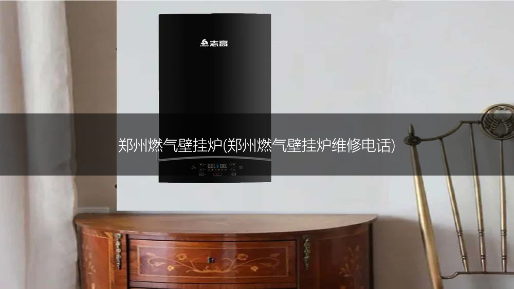 郑州燃气壁挂炉(郑州燃气壁挂炉维修电话)