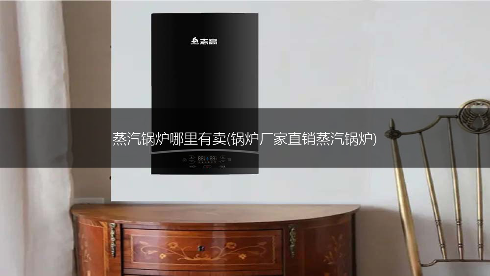 蒸汽锅炉哪里有卖(锅炉厂家直销蒸汽锅炉)