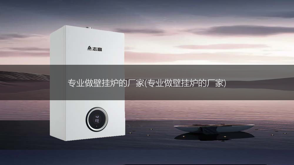 专业做壁挂炉的厂家(专业做壁挂炉的厂家)