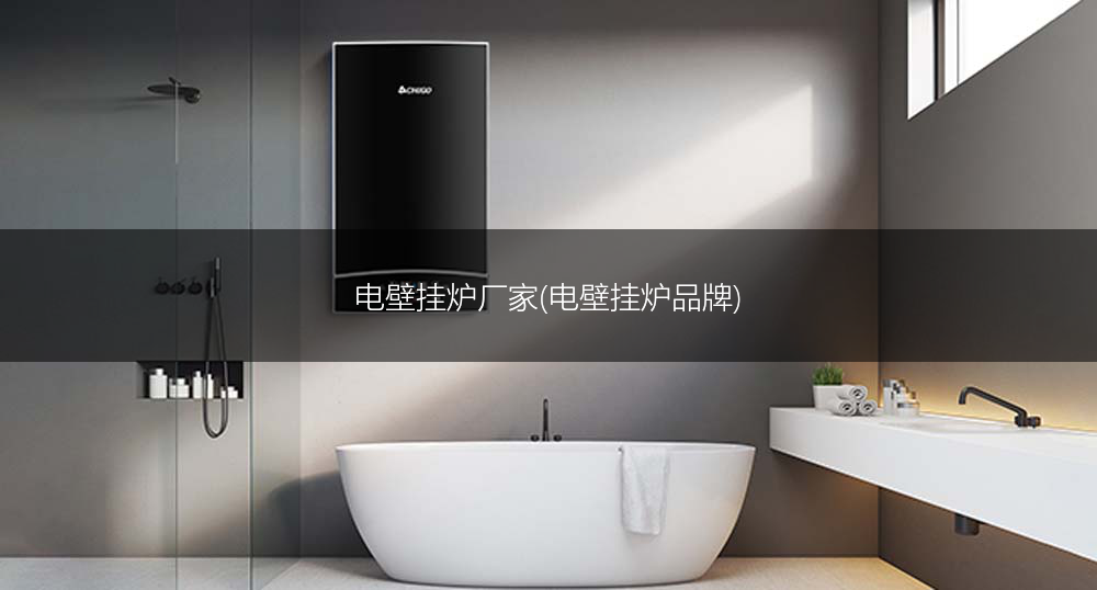 电壁挂炉厂家(电壁挂炉品牌)