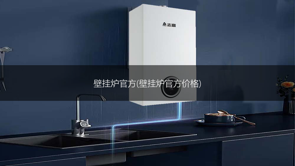 壁挂炉官方(壁挂炉官方价格)