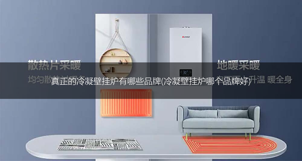 真正的冷凝壁挂炉有哪些品牌(冷凝壁挂炉哪个品牌好)