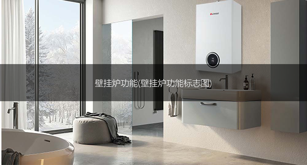 壁挂炉功能(壁挂炉功能标志图)