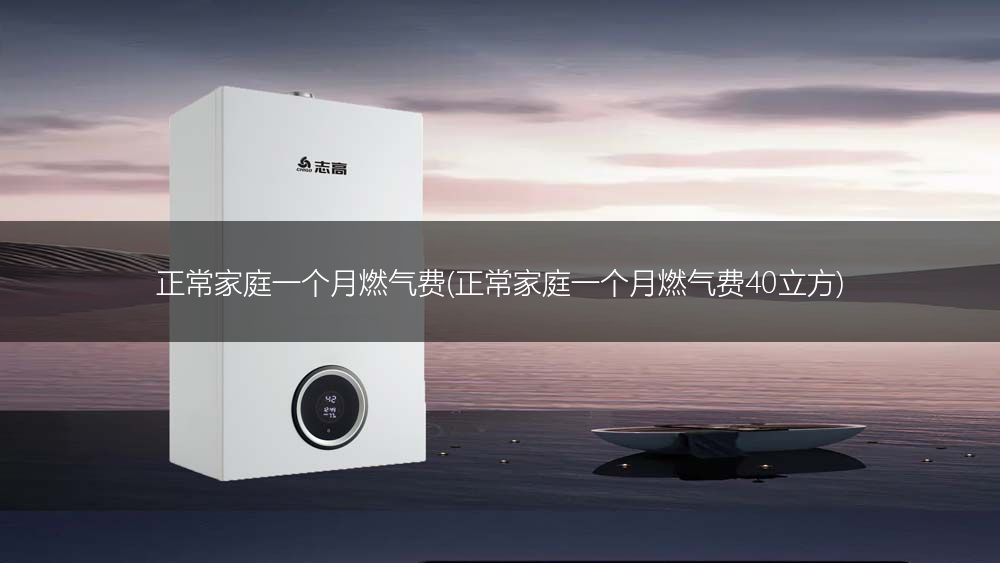正常家庭一个月燃气费(正常家庭一个月燃气费40立方)
