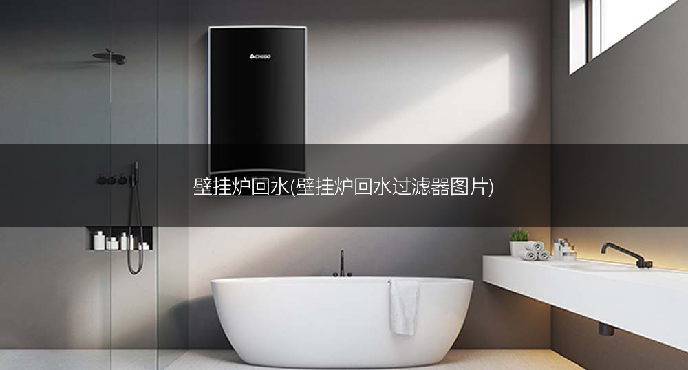 壁挂炉回水(壁挂炉回水过滤器图片)