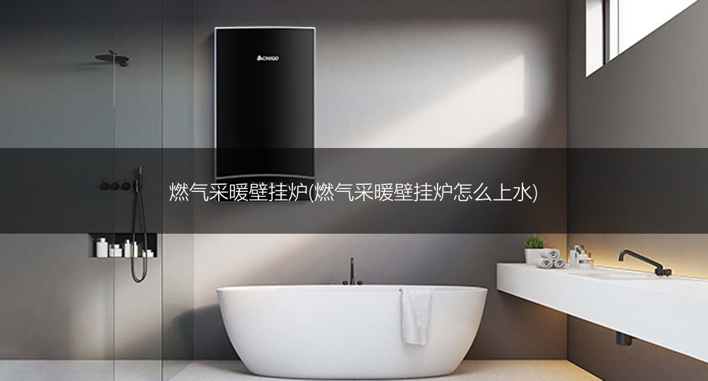 燃气采暖壁挂炉(燃气采暖壁挂炉怎么上水)