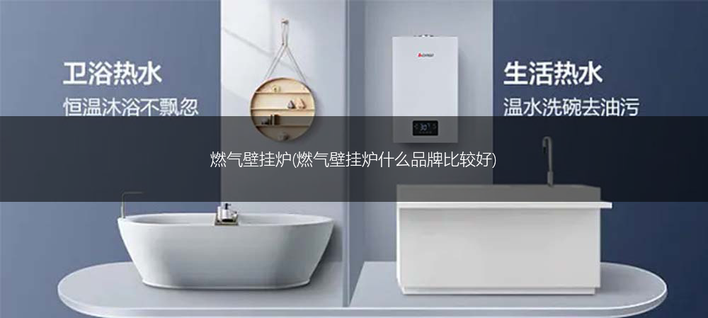 燃气壁挂炉(燃气壁挂炉什么品牌比较好)