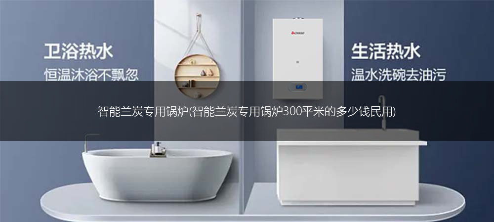 智能兰炭专用锅炉(智能兰炭专用锅炉300平米的多少钱民用)