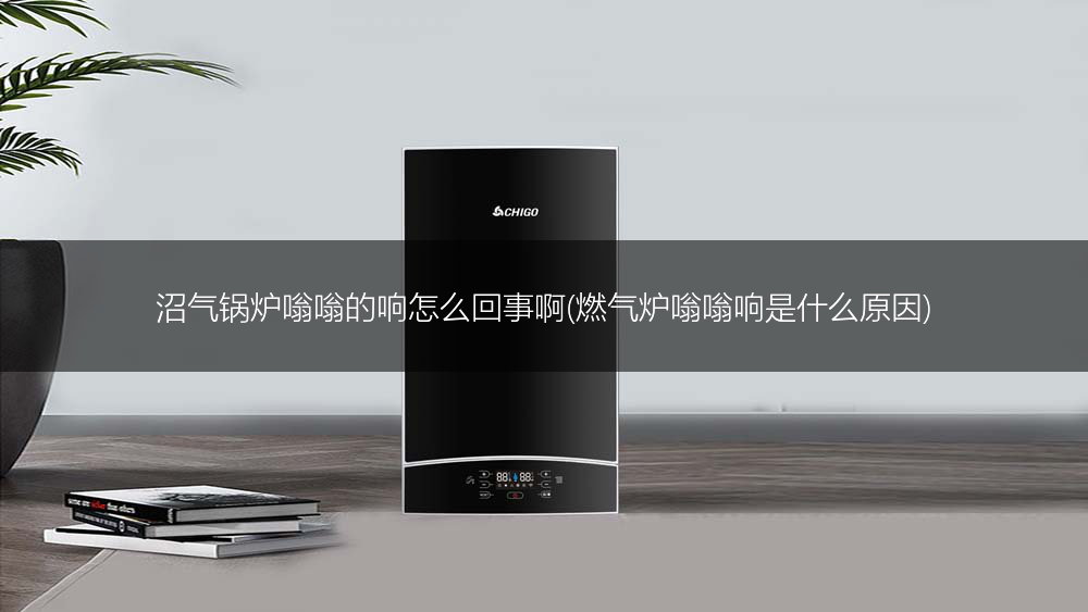 沼气锅炉嗡嗡的响怎么回事啊(燃气炉嗡嗡响是什么原因)