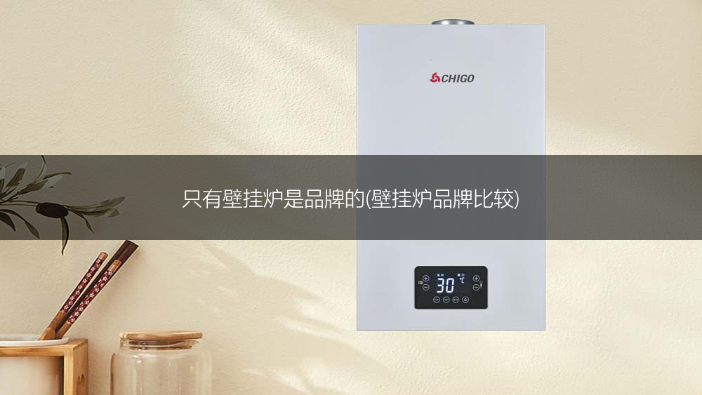 只有壁挂炉是品牌的(壁挂炉品牌比较)