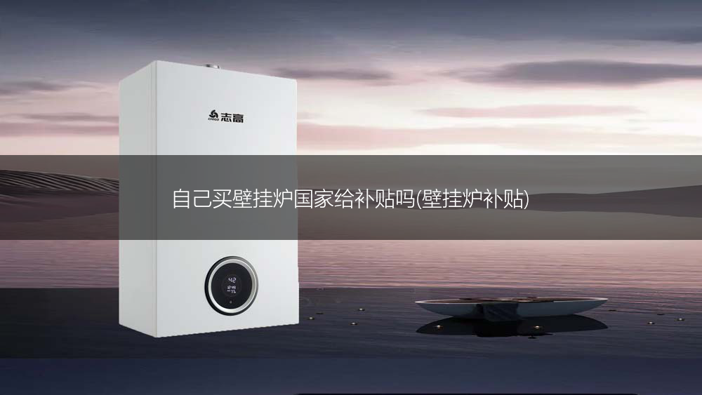 自己买壁挂炉国家给补贴吗(壁挂炉补贴)