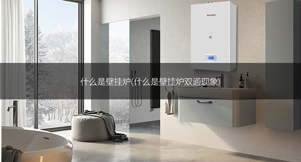 什么是壁挂炉(什么是壁挂炉双通现象)
