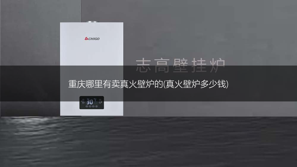 重庆哪里有卖真火壁炉的(真火壁炉多少钱)