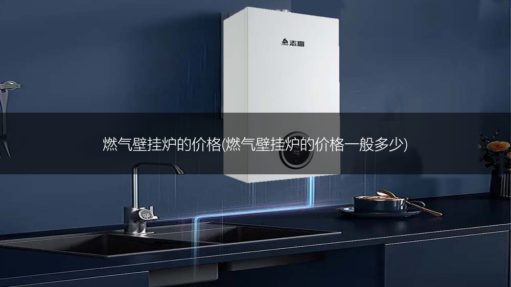 燃气壁挂炉的价格(燃气壁挂炉的价格一般多少)