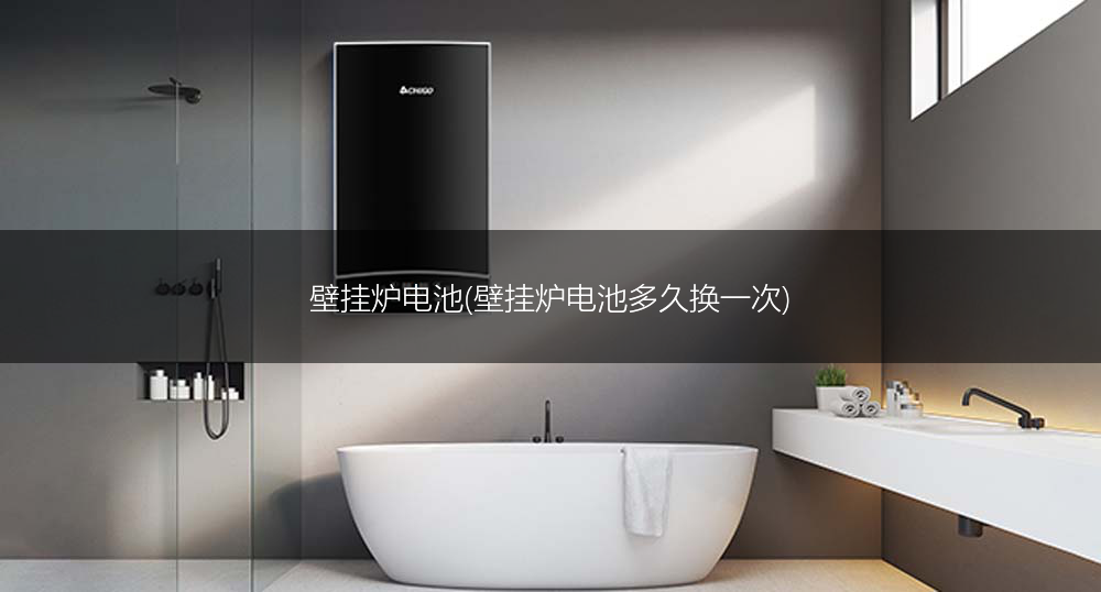 壁挂炉电池(壁挂炉电池多久换一次)
