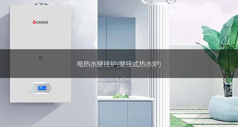 电热水壁挂炉(壁挂式热水炉)