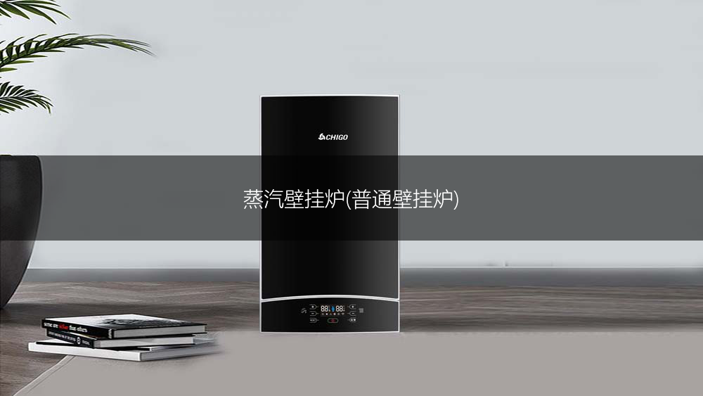 蒸汽壁挂炉(普通壁挂炉)