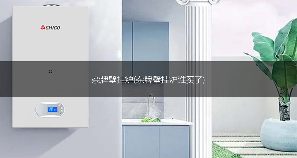 杂牌壁挂炉(杂牌壁挂炉谁买了)