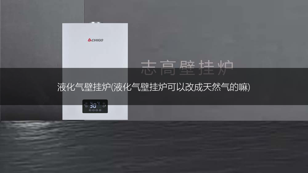 液化气壁挂炉(液化气壁挂炉可以改成天然气的嘛)