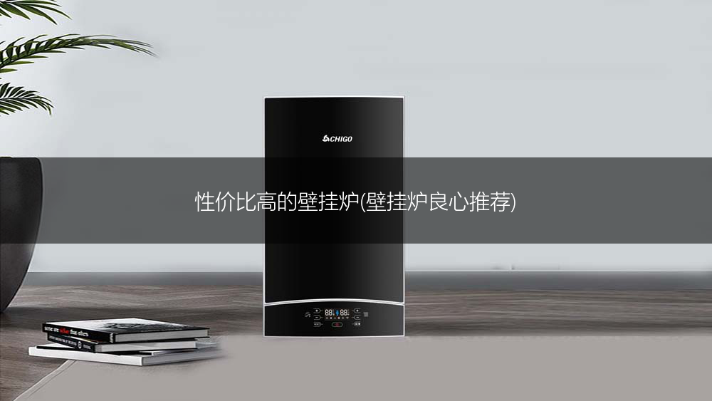性价比高的壁挂炉(壁挂炉良心推荐)