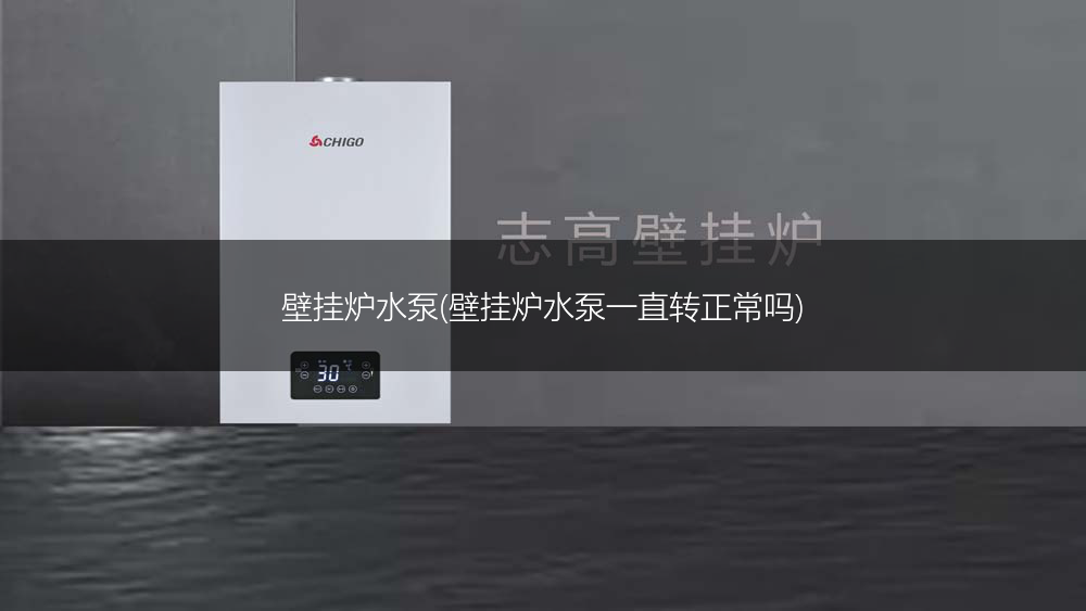 壁挂炉水泵(壁挂炉水泵一直转正常吗)