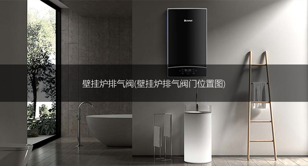 壁挂炉排气阀(壁挂炉排气阀门位置图)