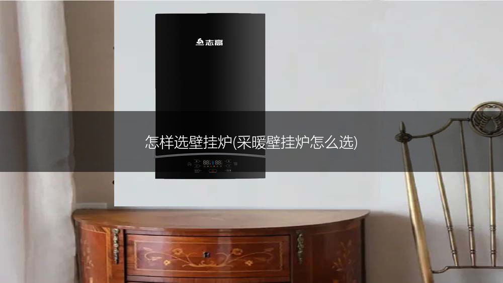怎样选壁挂炉(采暖壁挂炉怎么选)